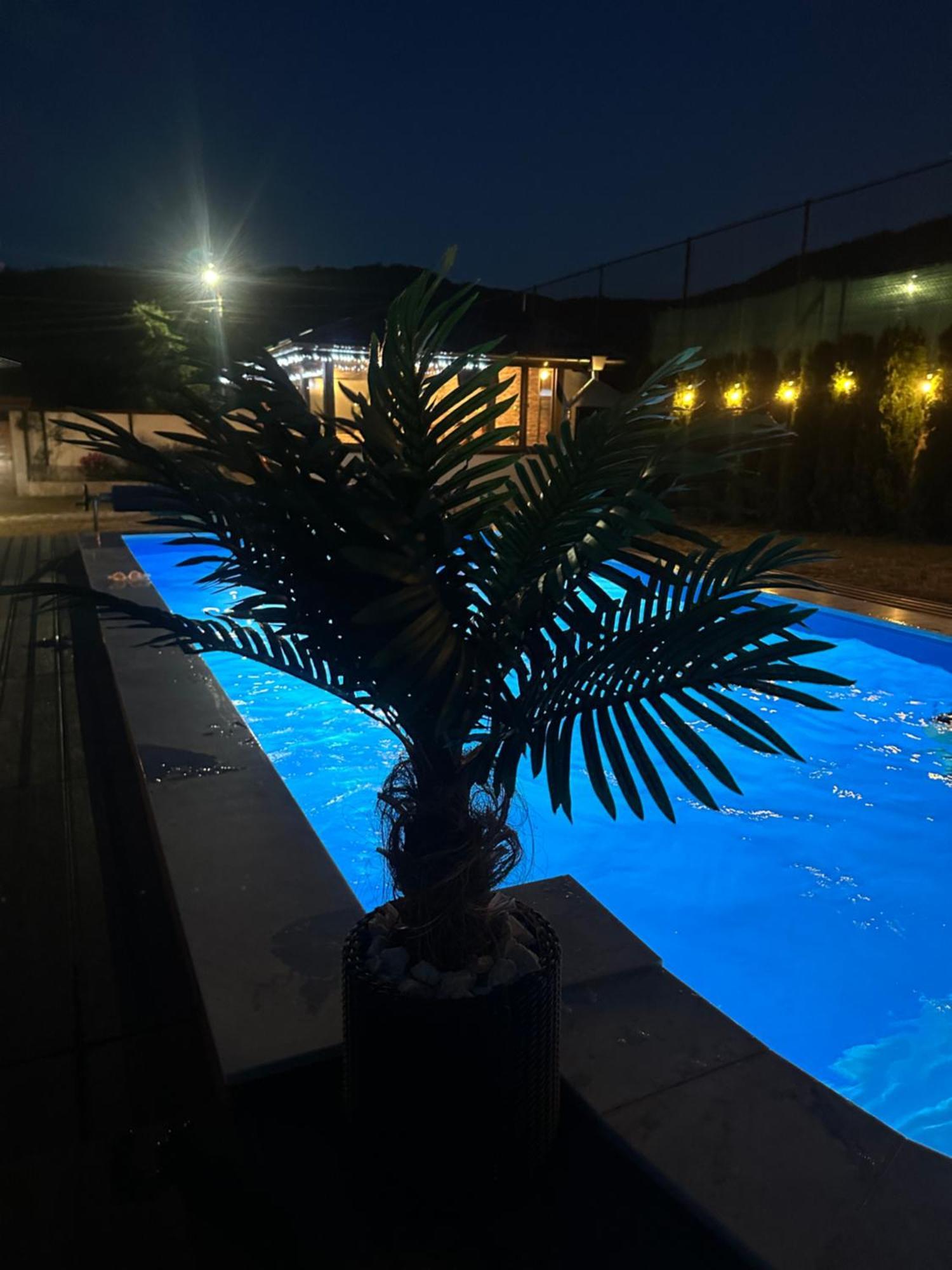 Villa Paradise Beli Iskar Exterior foto